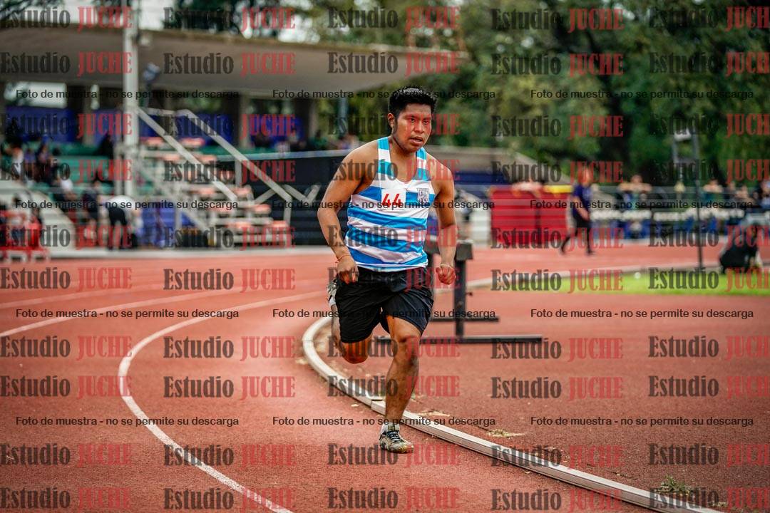Fotos de los 800 m llanos de varones
