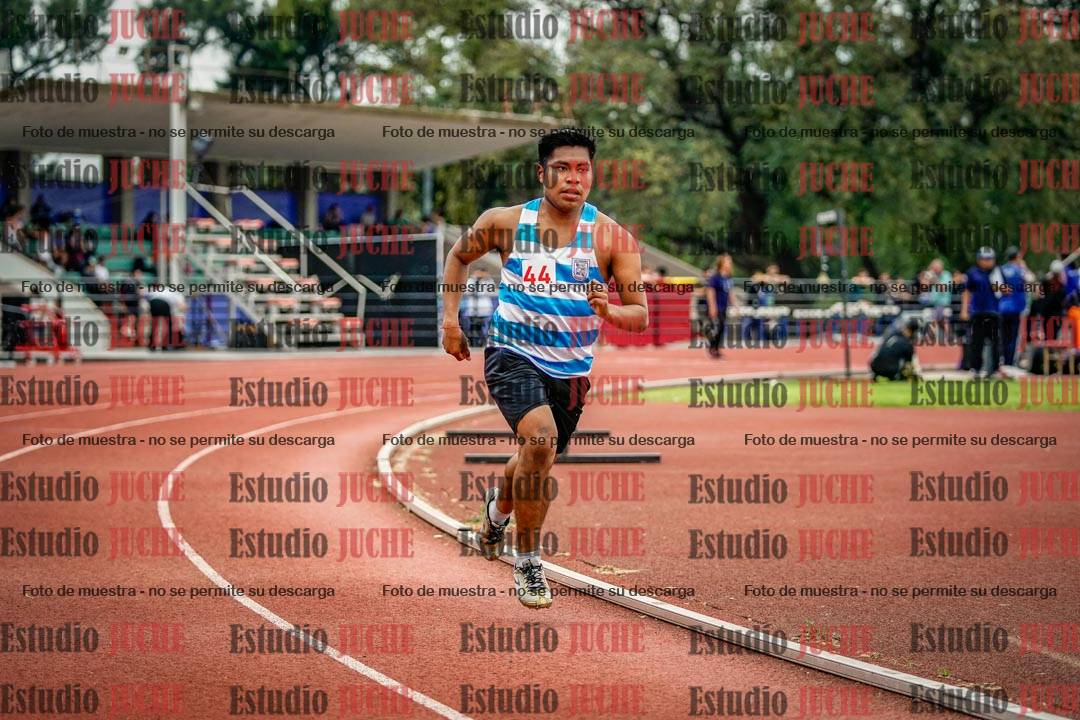 Fotos de los 800 m llanos de varones