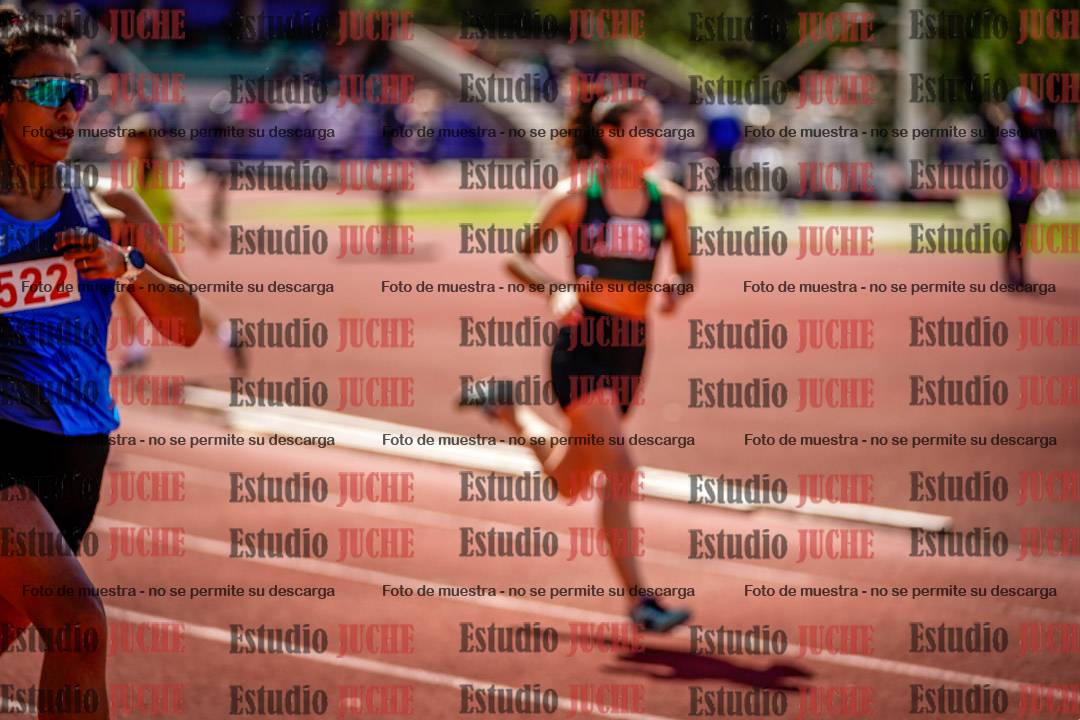 Fotos de los 800 m llanos de mujeres