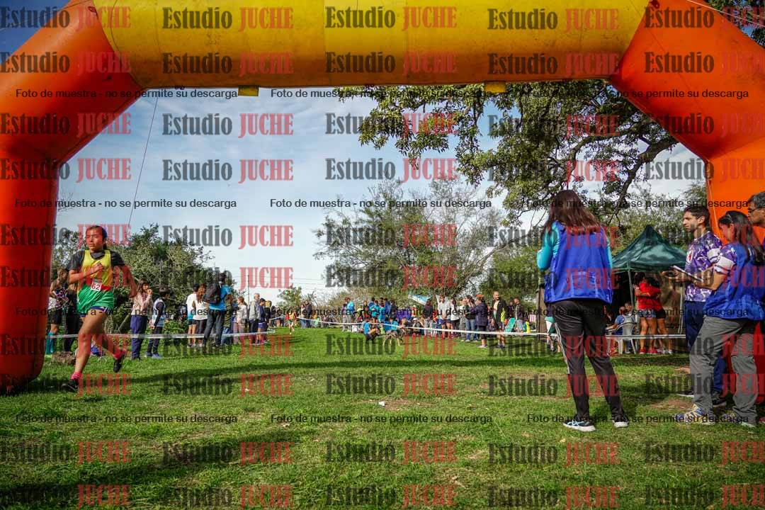 Fotos de la llegada del cross de 1500 m