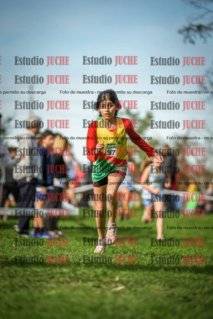 Fotos de la llegada del cross de 1500 m