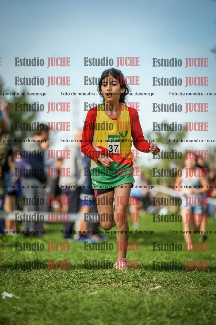 Fotos de la llegada del cross de 1500 m
