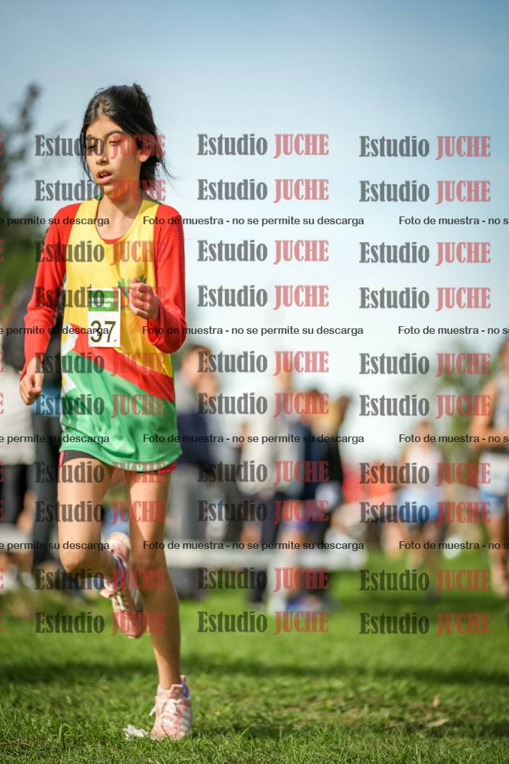 Fotos de la llegada del cross de 1500 m