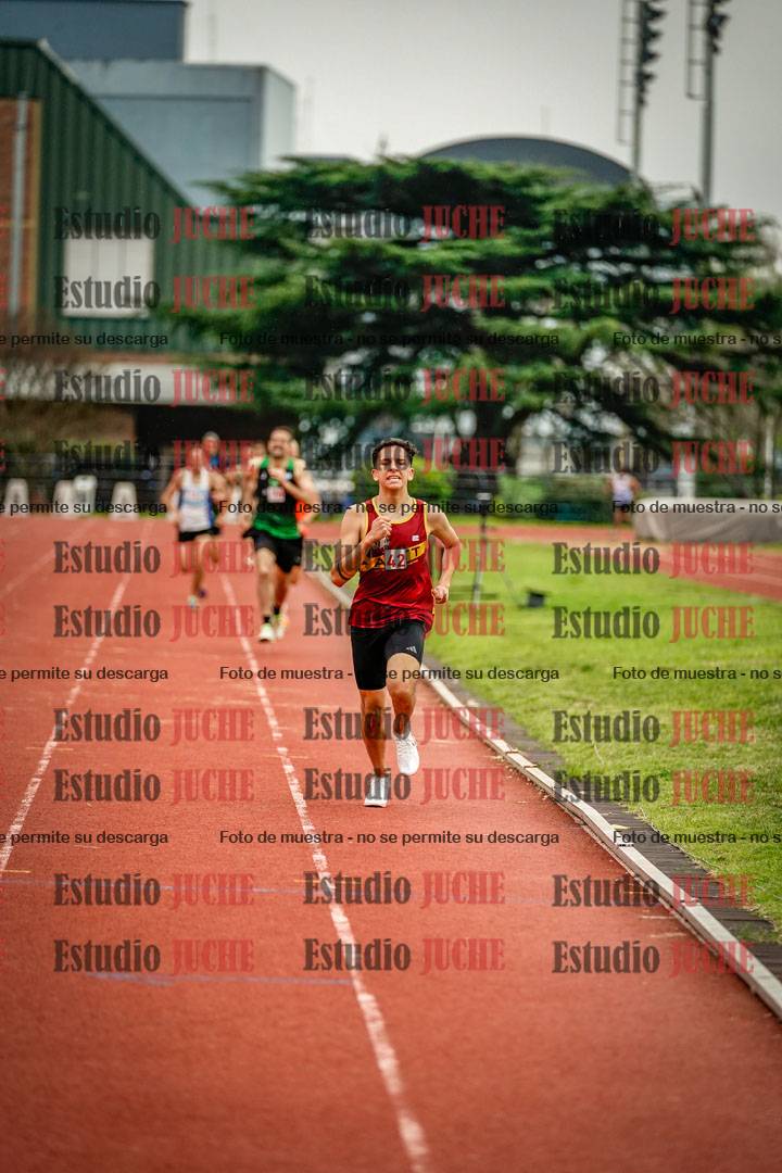 Fotos de los 800 m llanos de varones
