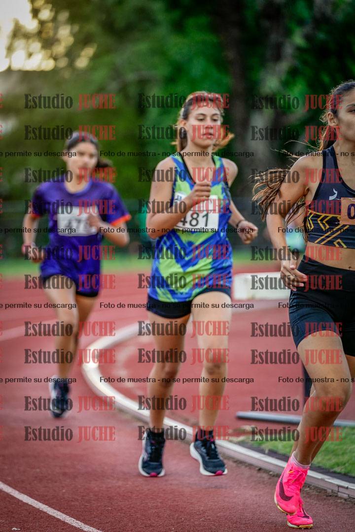 Fotos de los 1500 m llanos de mujeres