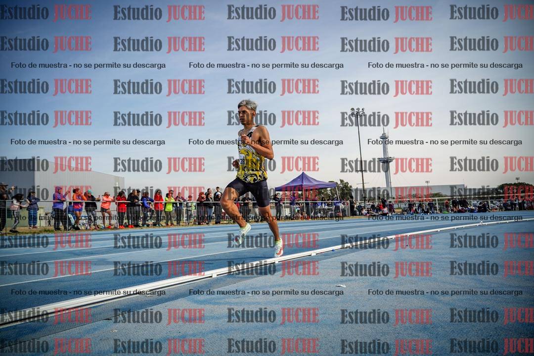Fotos de los 800 m llanos de varones
