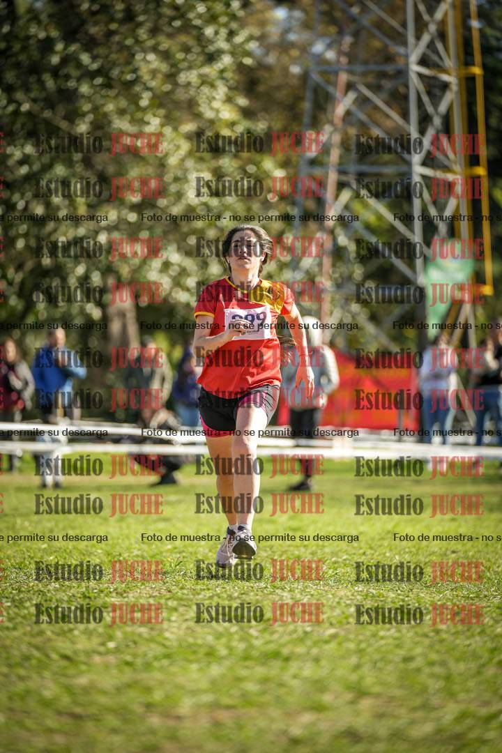 Fotos de la llegada del cross de 6000 m