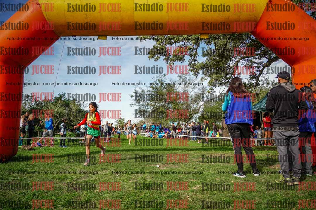 Fotos de la llegada del cross de 1500 m
