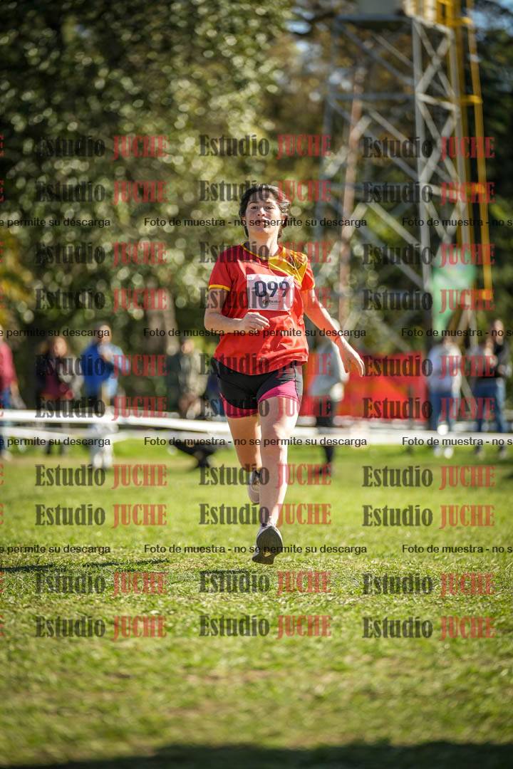 Fotos de la llegada del cross de 6000 m