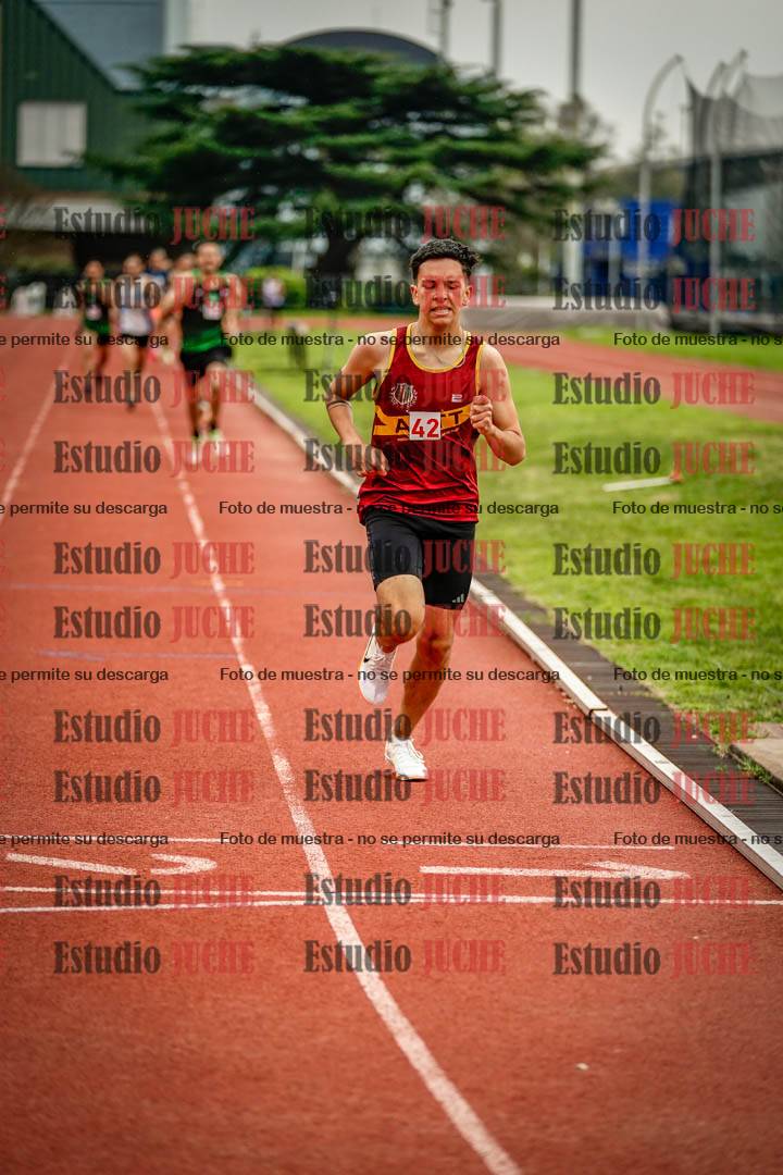 Fotos de los 800 m llanos de varones