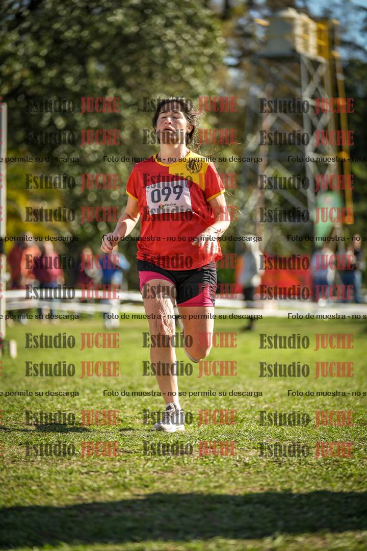 Fotos de la llegada del cross de 6000 m