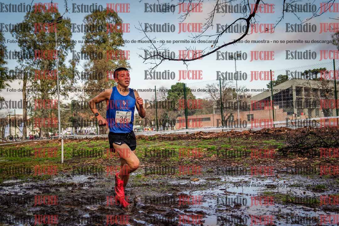 Fotos en el circuito