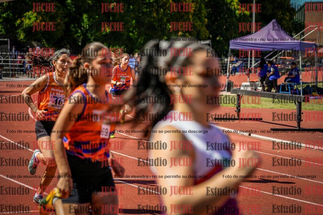 Fotos de los 800 m llanos de mujeres