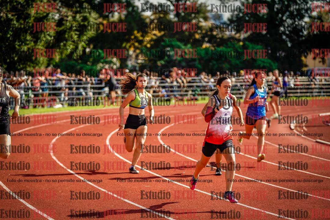 Fotos de los 800 m llanos de mujeres