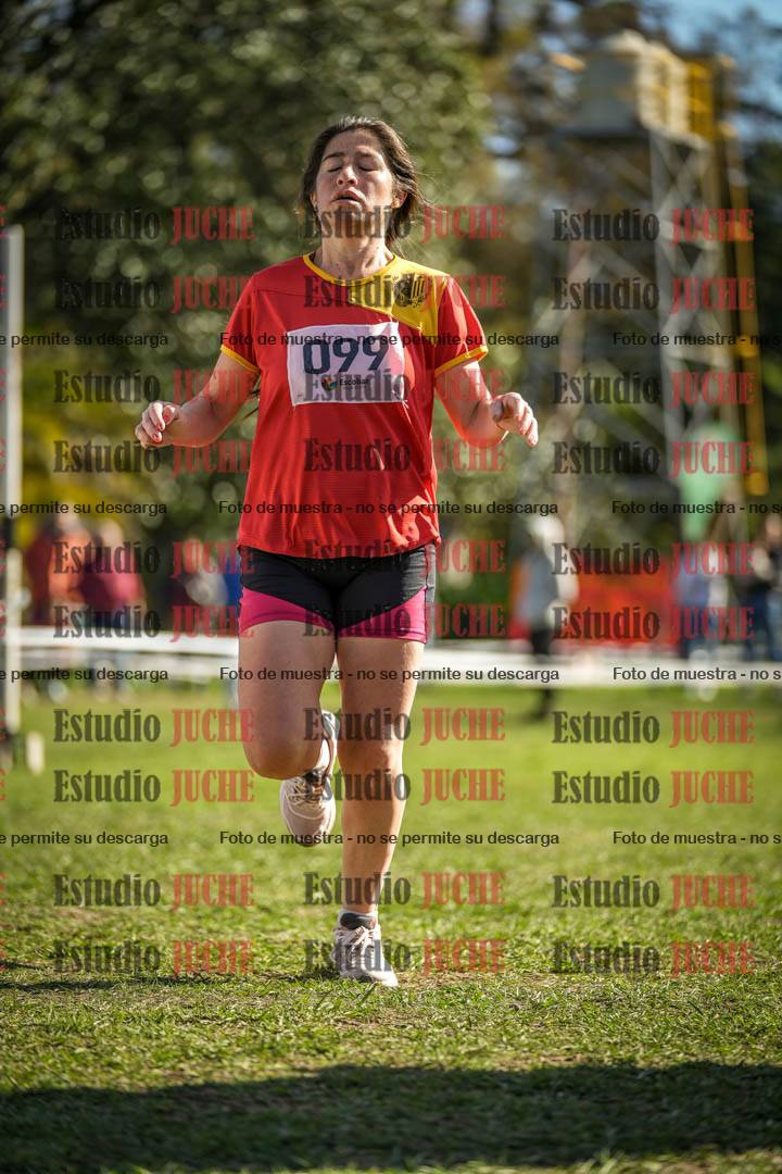 Fotos de la llegada del cross de 6000 m