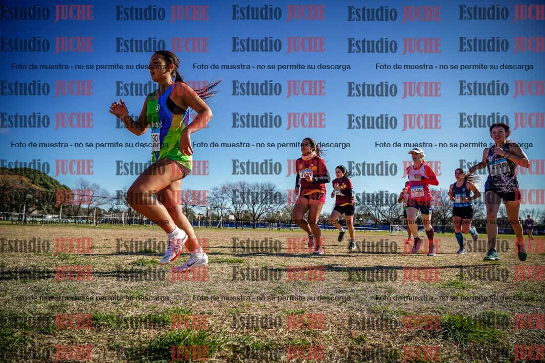 Fotos en el circuito