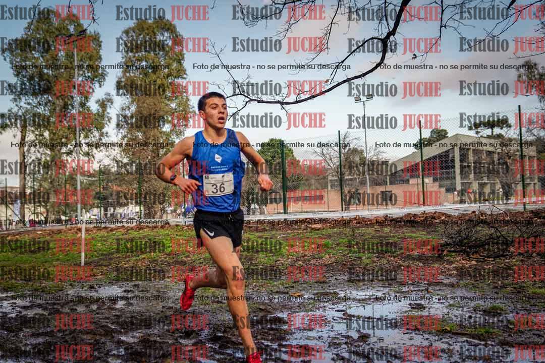 Fotos en el circuito