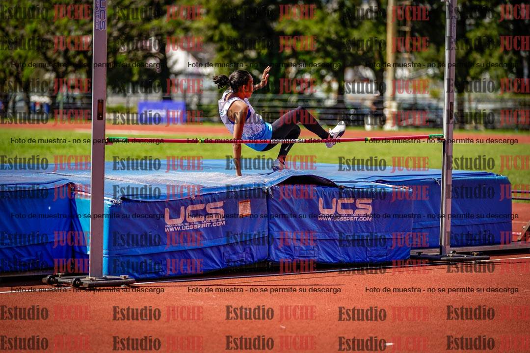 Fotos del salto en alto