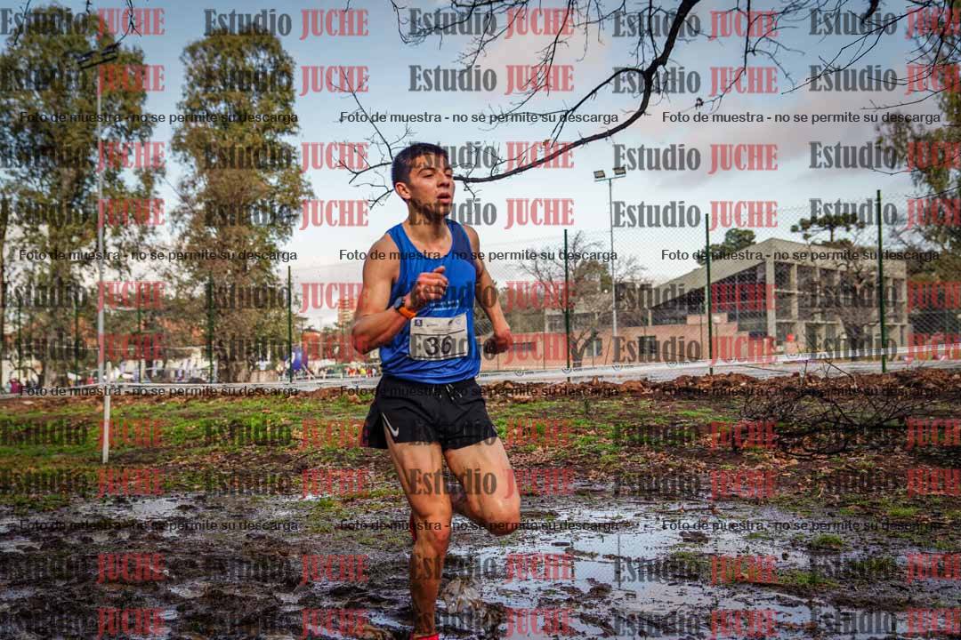 Fotos en el circuito