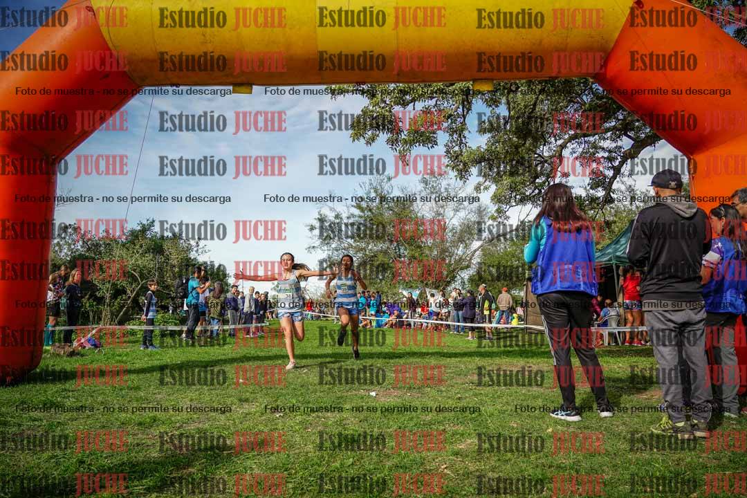 Fotos de la llegada del cross de 1500 m