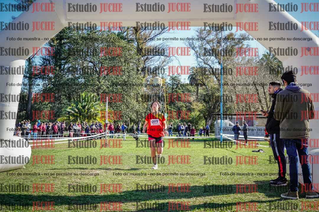 Fotos de la llegada del cross de 6000 m