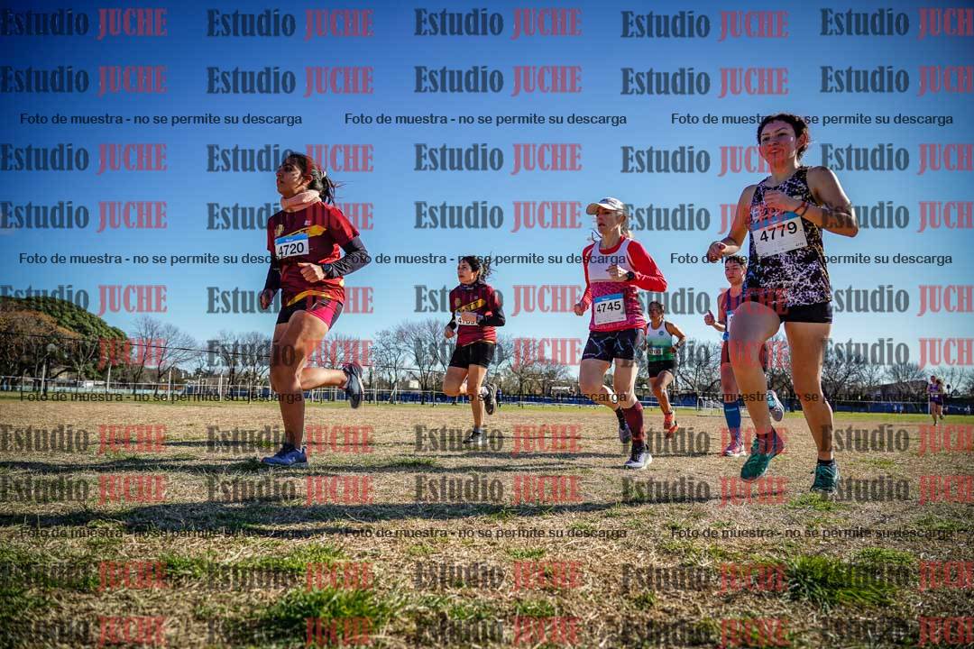 Fotos en el circuito