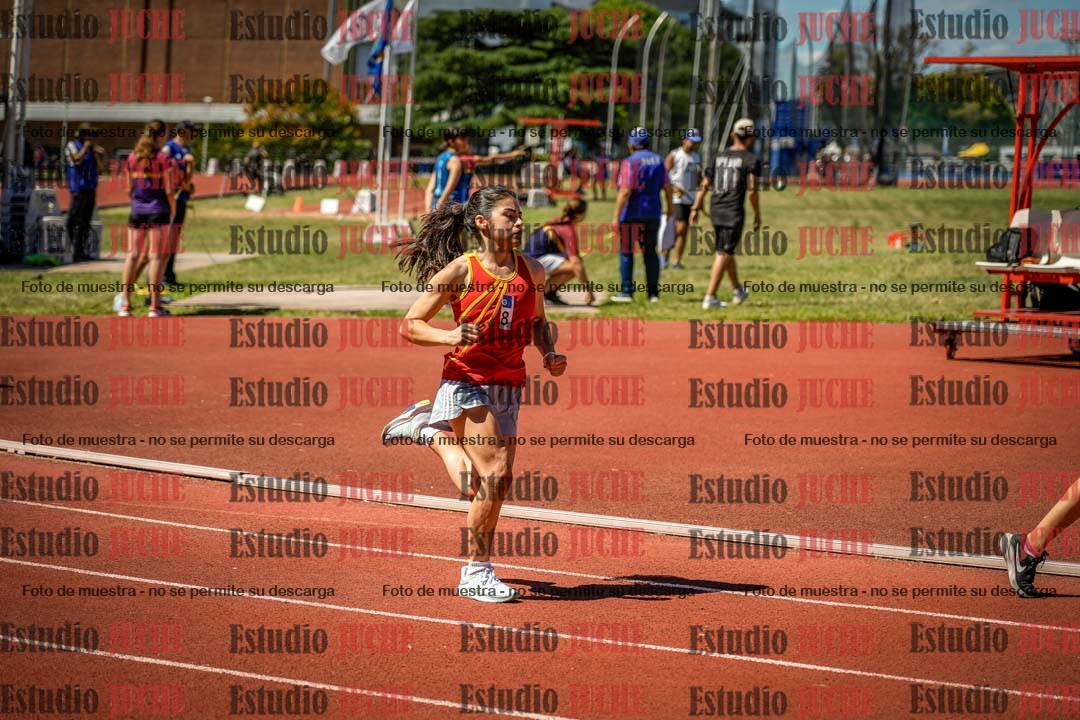 Fotos de los 800 m llanos de mujeres