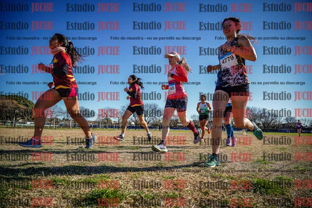 Fotos en el circuito