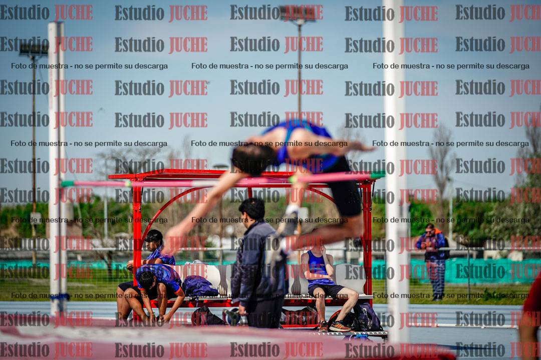 Fotos del salto en alto de varones