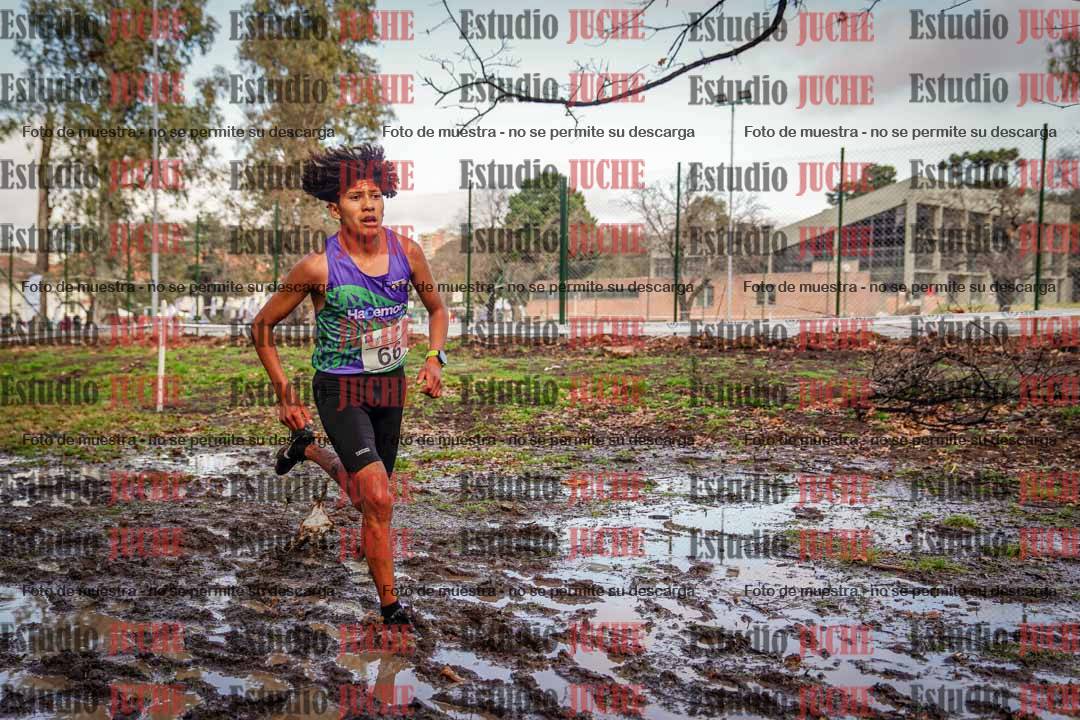 Fotos en el circuito