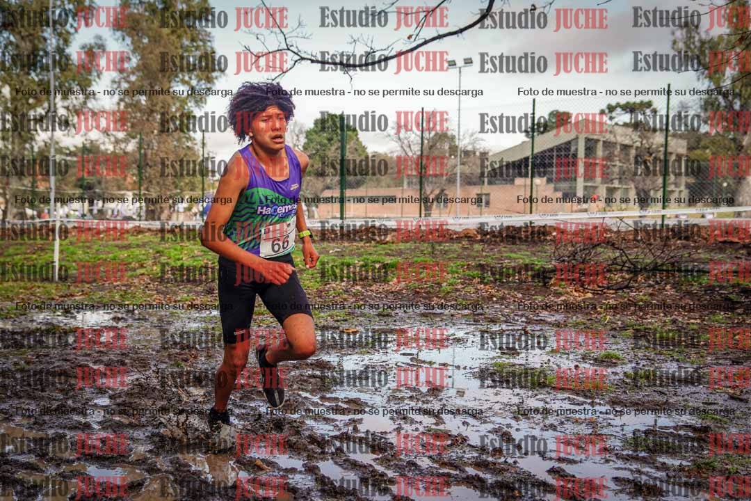 Fotos en el circuito