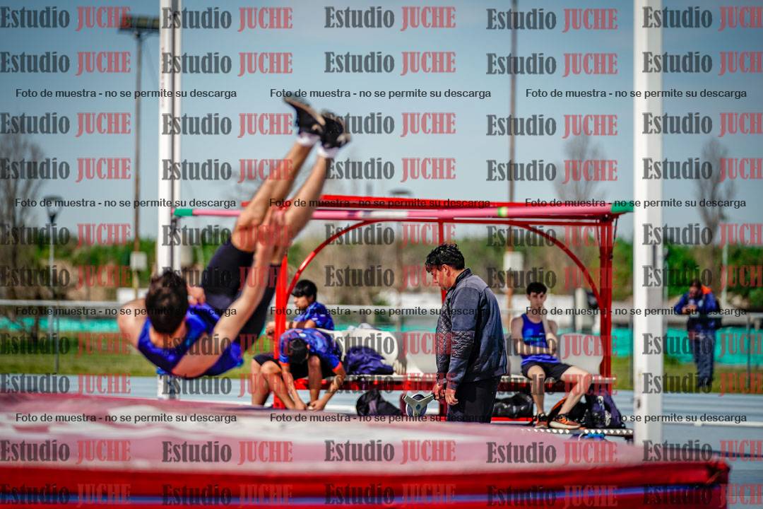 Fotos del salto en alto de varones