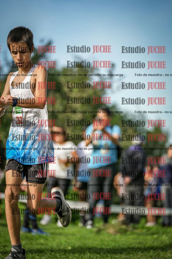 Fotos de la llegada del cross de 1500 m
