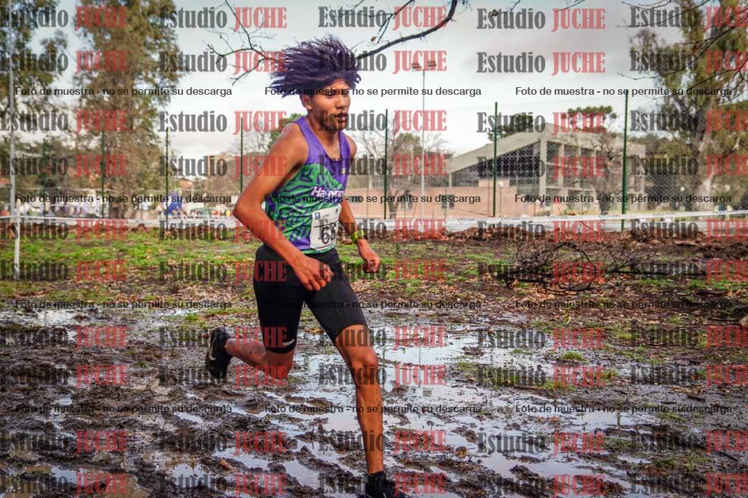 Fotos en el circuito