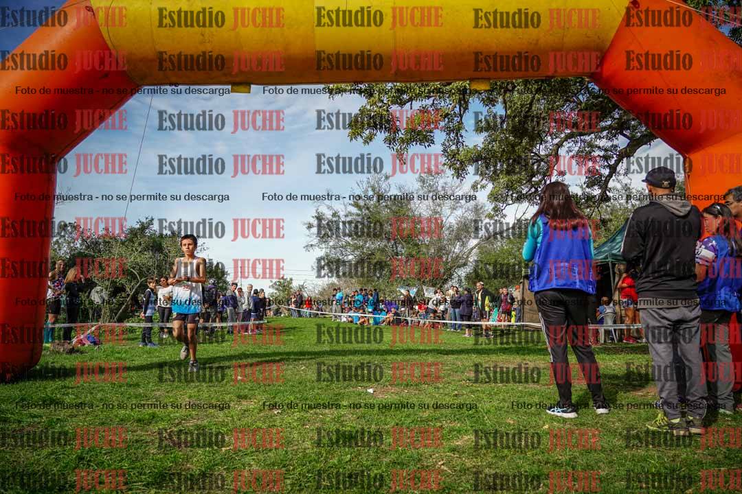 Fotos de la llegada del cross de 1500 m