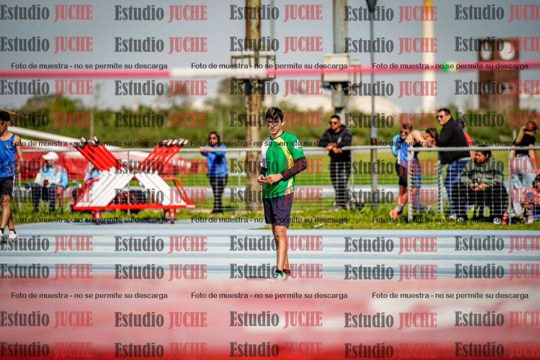 Fotos del salto en alto de varones