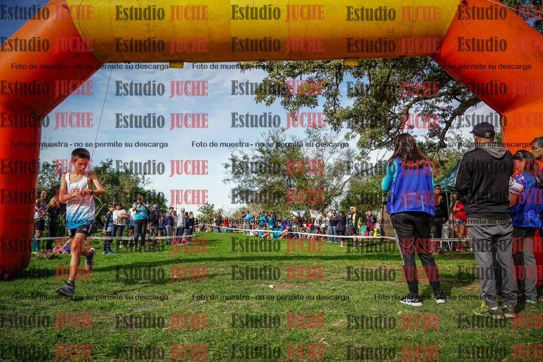 Fotos de la llegada del cross de 1500 m