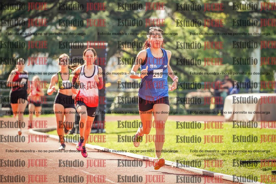 Fotos de los 800 m llanos de mujeres