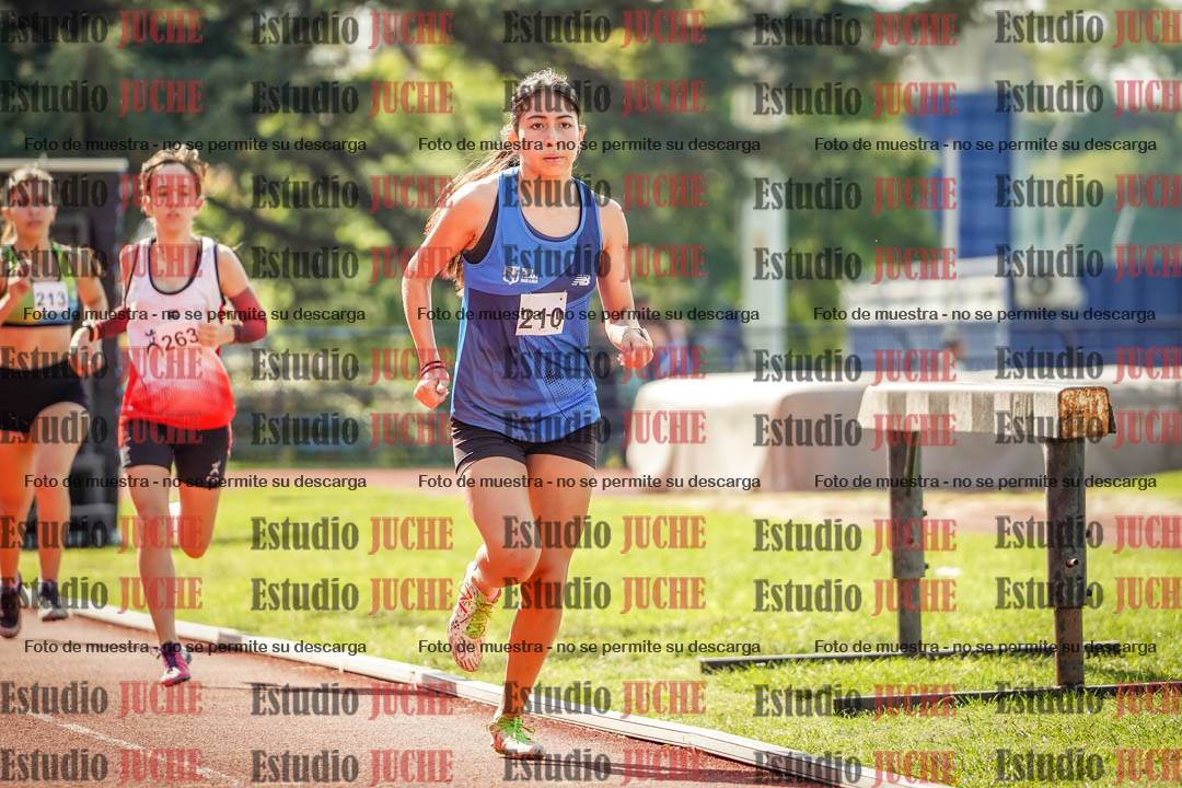 Fotos de los 800 m llanos de mujeres