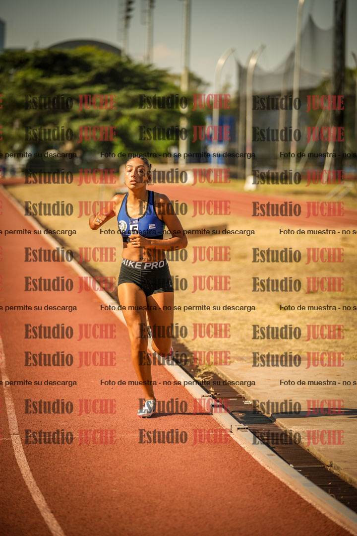 Fotos de los 800 m llanos de mujeres