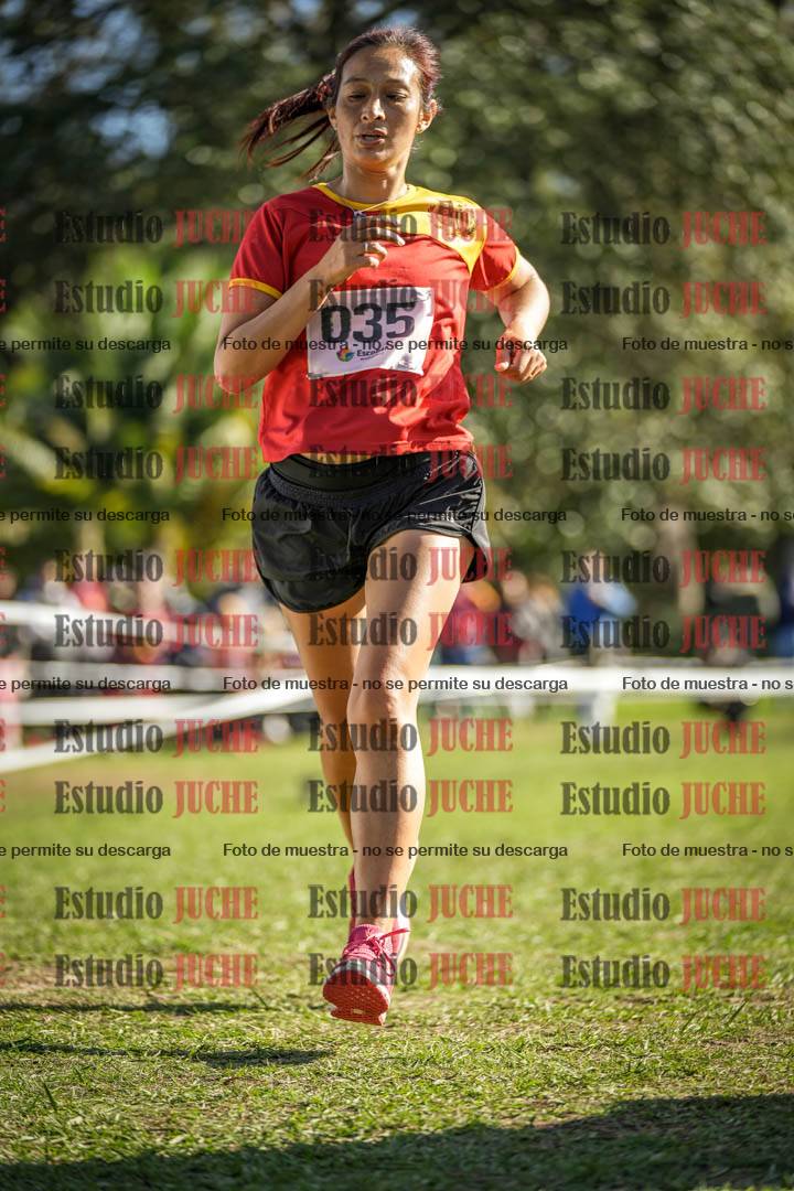 Fotos de la llegada del cross de 6000 m