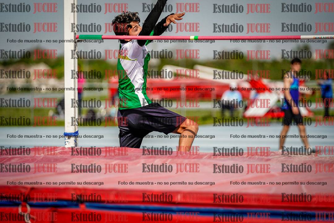 Fotos del salto en alto de varones