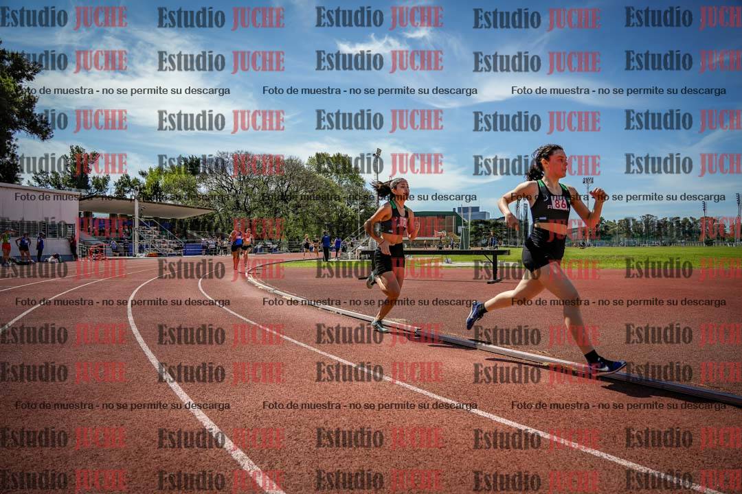 Fotos de los 800 m llanos de mujeres