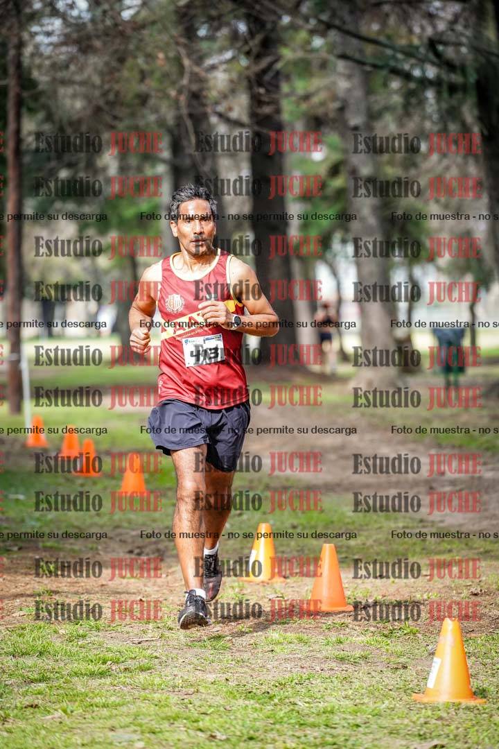 Fotos en el circuito
