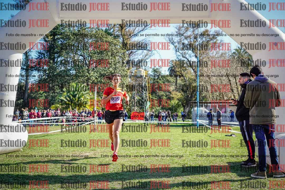 Fotos de la llegada del cross de 6000 m