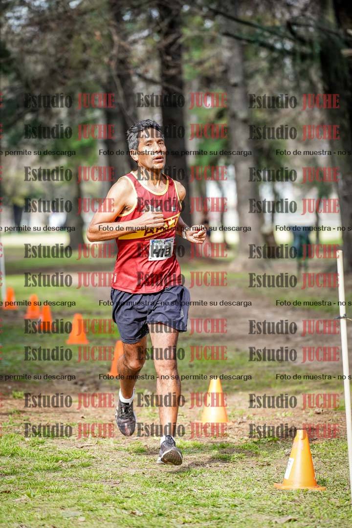 Fotos en el circuito
