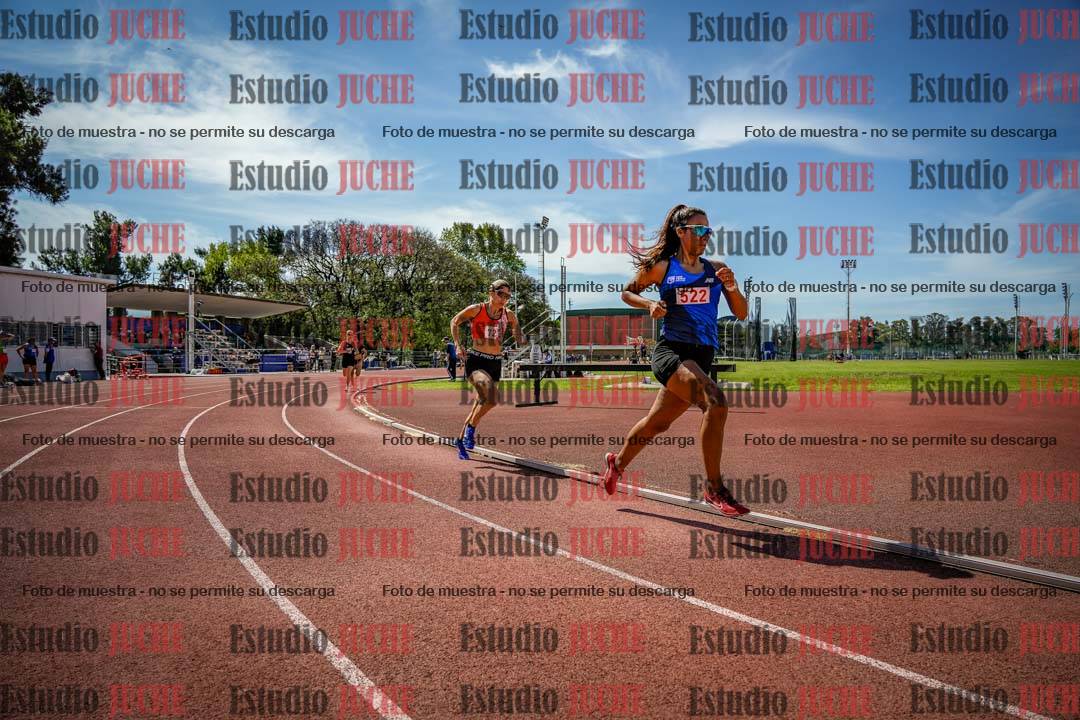 Fotos de los 800 m llanos de mujeres