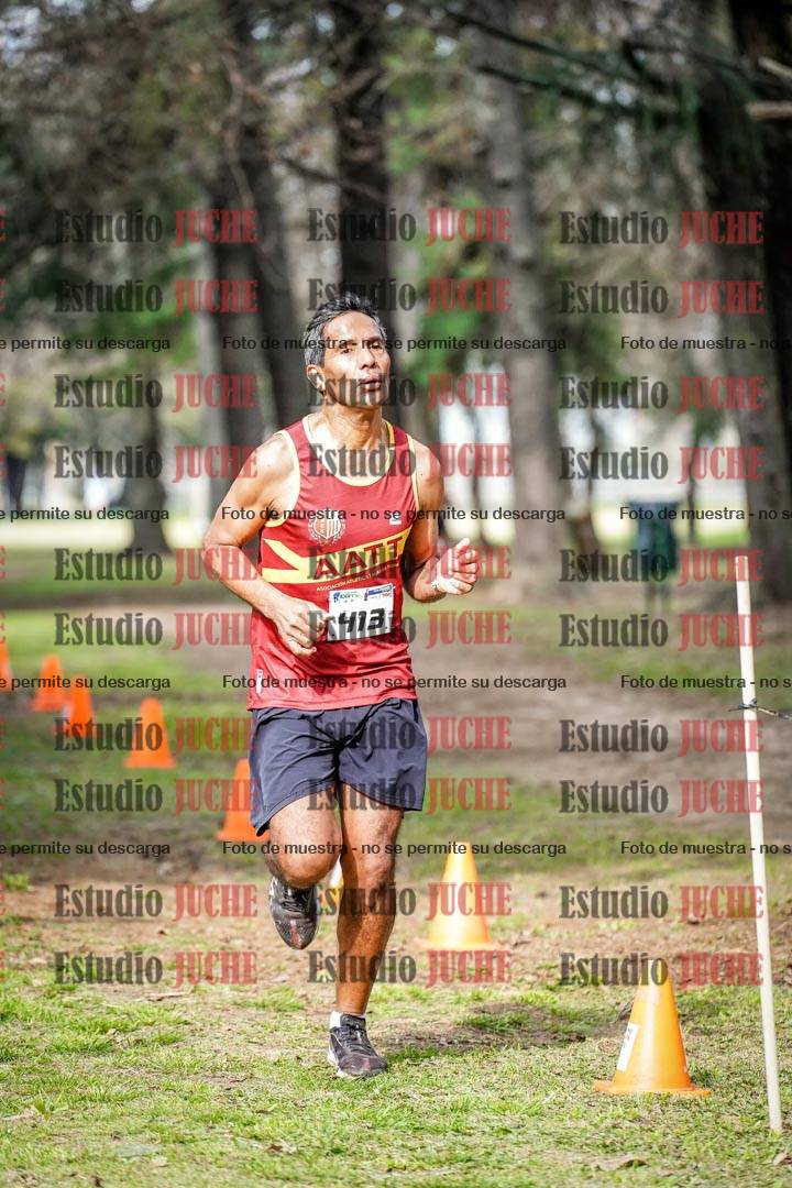 Fotos en el circuito