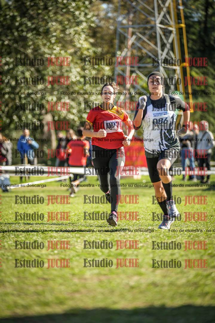 Fotos de la llegada del cross de 6000 m