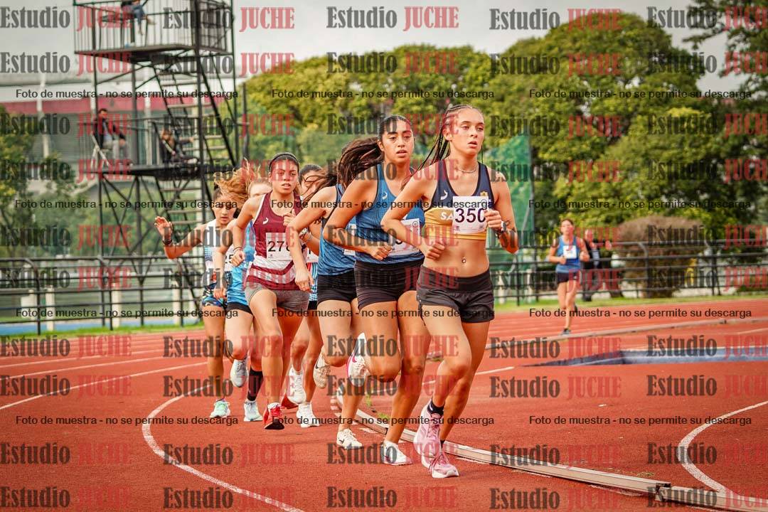 Fotos de los 5000 m llanos de mujeres